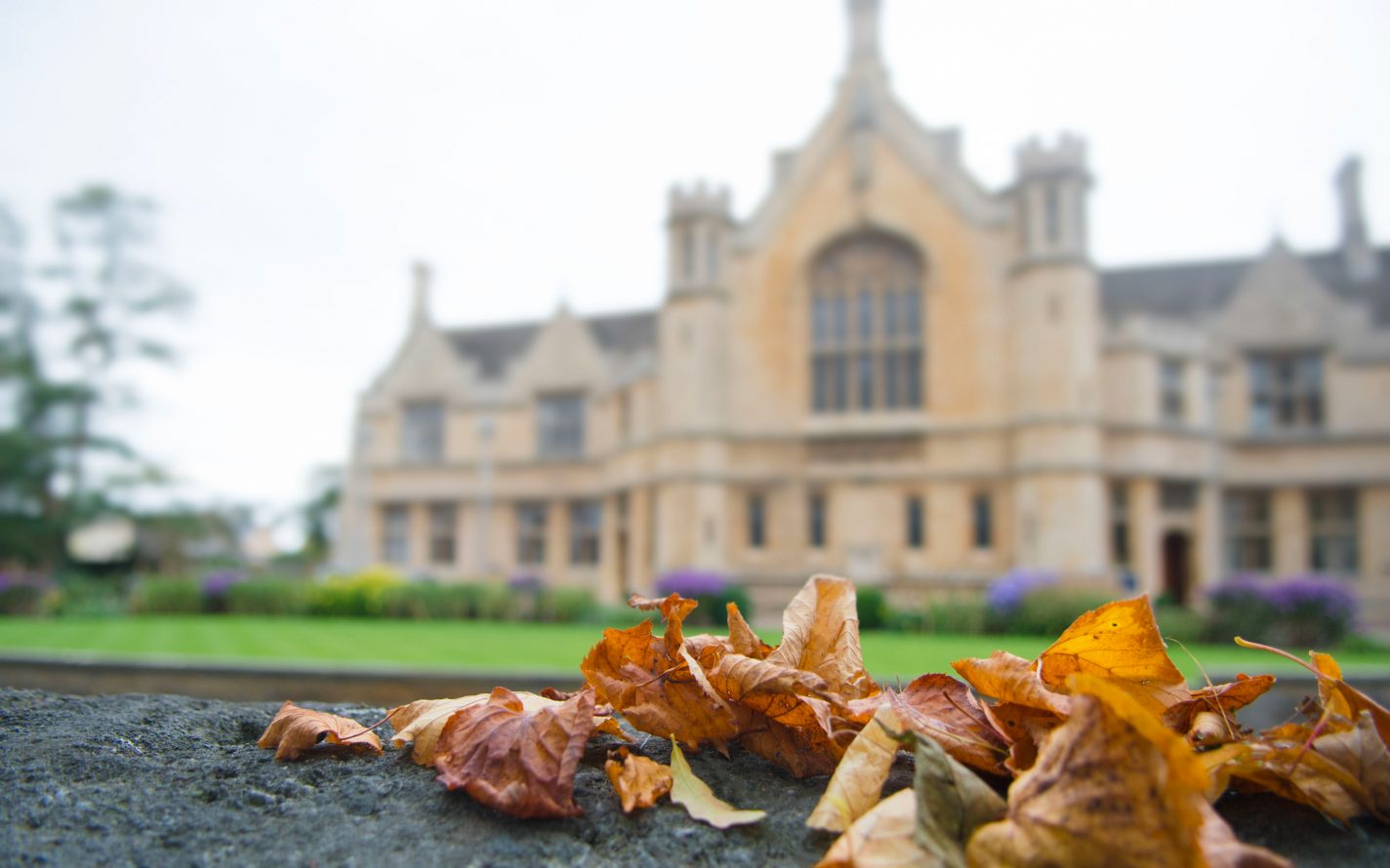 Our UK education consultancy services include:
